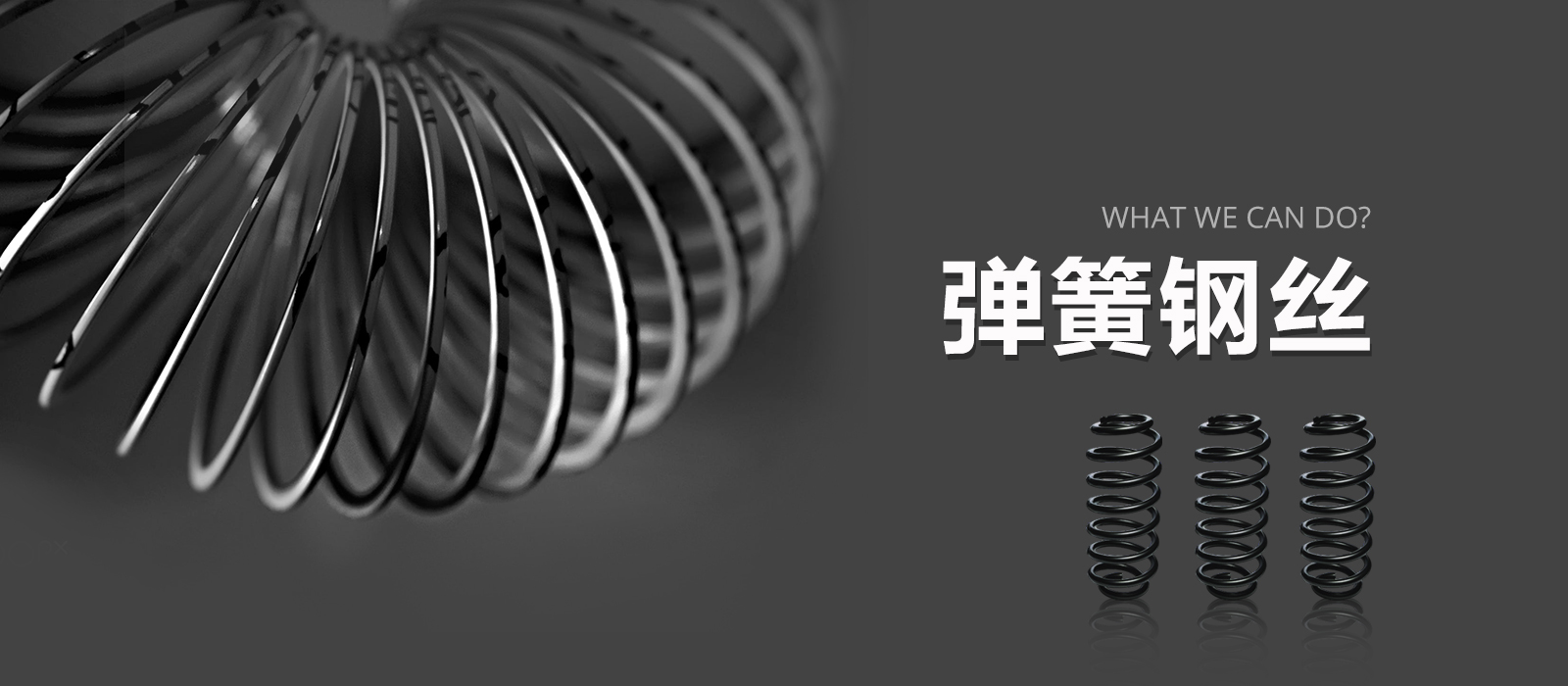Spring Wire