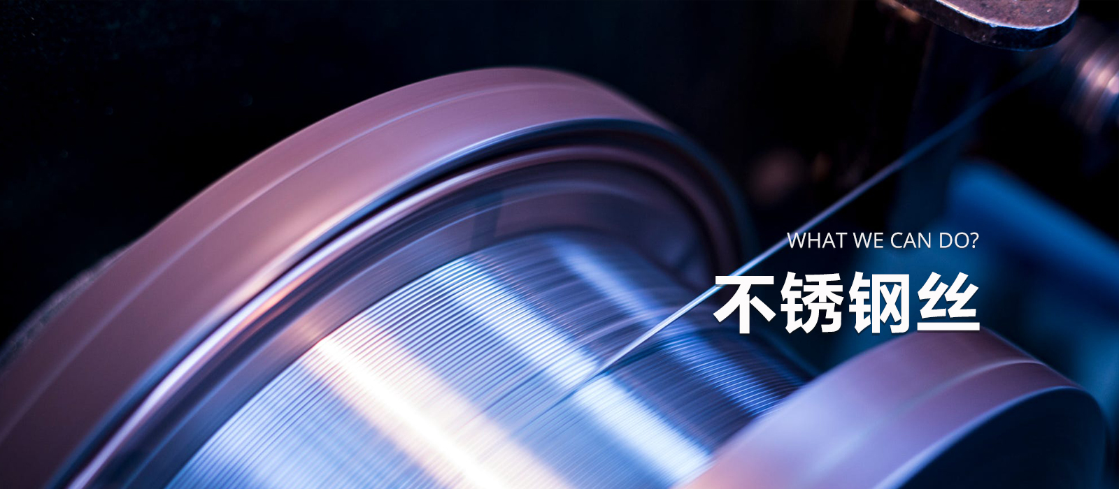 Stainless Steel Wire